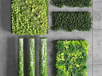 Creative Living Plant Wall Designs with Square Panels and Cylindrical Tubes for Vertical Garden Decor 3d model