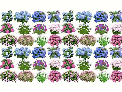 Vibrant Potted Flowers And Green Plants In Various Colors Arranged Neatly 3d model
