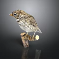 Small Brown Bird Perched On Wooden Branch With Detailed Feathers And Reflection