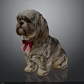 Shih Tzu Statue Sitting With Red Bow Tie On Smooth Surface And Dark Background