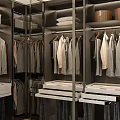 Organized Modern Wardrobe Interior Design With Hanging Clothes Drawers And Storage Boxes 3d model