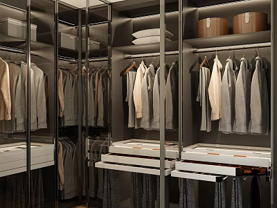 Organized Modern Wardrobe Interior Design With Hanging Clothes Drawers And Storage Boxes 3d model