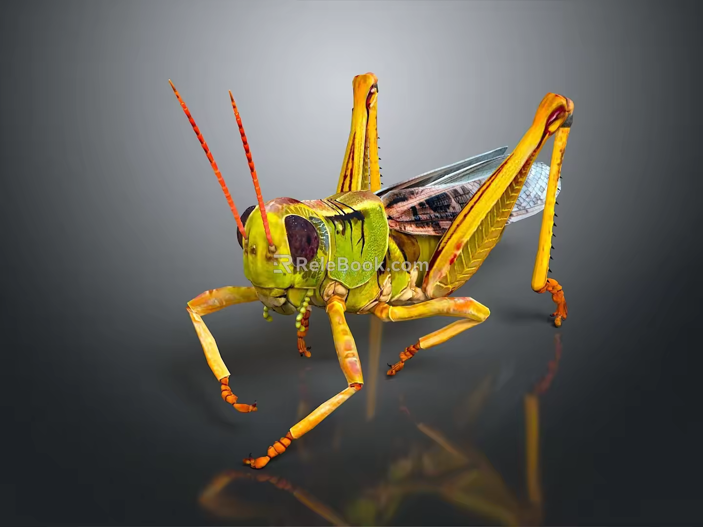 grasshopper insect cartoon locust animation locust anime locust anime game character 3d model
