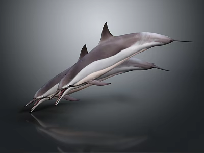 Three dolphins leaping gracefully above dark water surface with clear reflections 3d model