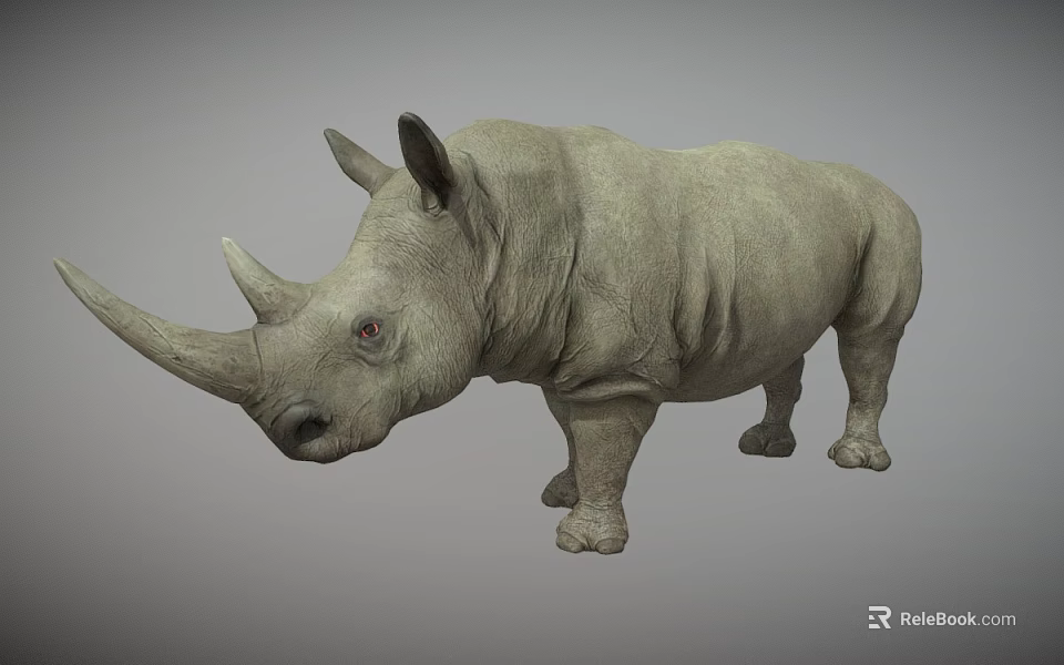 Detailed Gray Rhinoceros 3D Model Standing With Large Horn On Plain Gray Background 3d model 