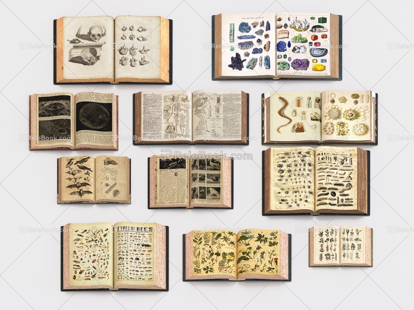 Old Books, Old Books, Old Books, Old Books, Books 3d model