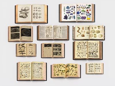 Multiple Open Historical Antique Books Featuring Illustrations And Text Pages 3d model