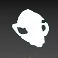 Detailed Animal Skull Structure With Hollow Eye Sockets And Nasal Cavity