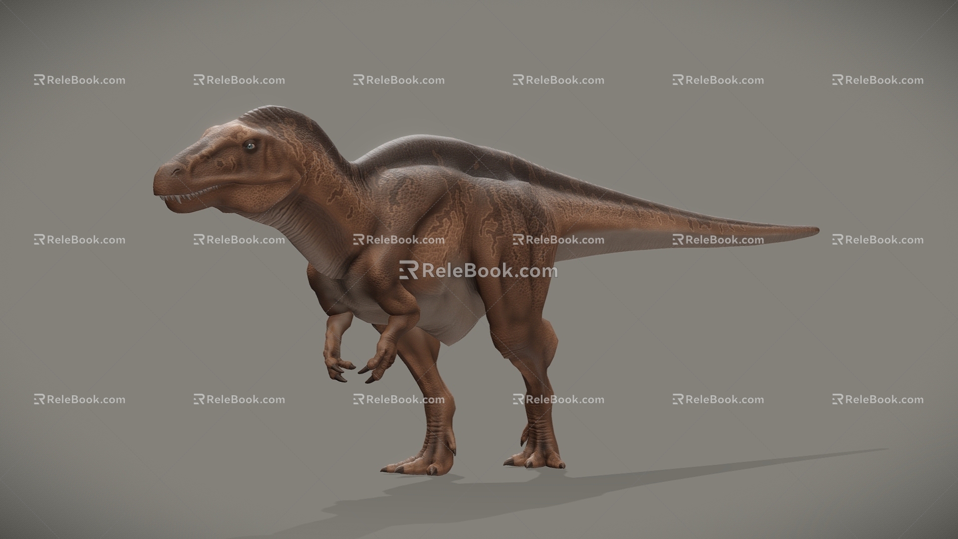 Dinosaur model 3d model