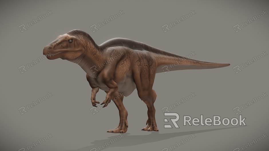 Dinosaur model model