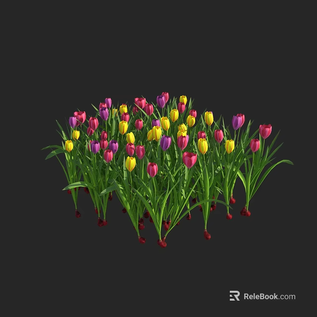 Colorful Tulips in Pink Yellow Purple Blooming on Black Background with Green Leaves 3d model 