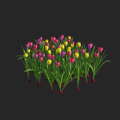 Colorful Tulips in Pink Yellow Purple Blooming on Black Background with Green Leaves 3d model
