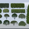 Various Garden Shrubs With Trimmed Shapes Rounded Hedges And Green Foliage