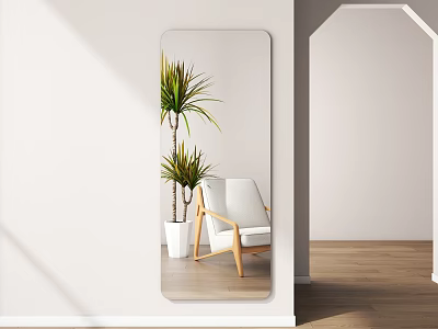 Full Length Mirror Reflecting Indoor Plants And Armchair In Modern Room 3d model