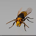 Yellow and Black Hornet with Red Eyes Orange Wings Detailed 3D Render Dark Background Reflection