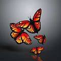 Monarch Butterflies With Orange Black Wings And White Spots Flying On Gray Background