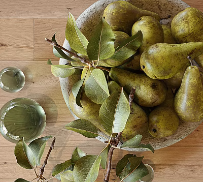 Fresh Ripe Green Pears With Leaves And Branches In Bowl On Wooden Table 3d model Fresh Ripe Green Pears With Leaves And Branches In Bowl On Wooden Table 3d model
