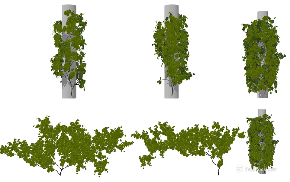 Lush Green Vines With Dense Foliage Climbing On Decorative Pillars For Garden Decoration 3d model 