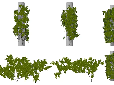 Lush Green Vines With Dense Foliage Climbing On Decorative Pillars For Garden Decoration 3d model