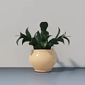 Bonsai Potted Plant With Lush Green Leaves In Beige Rounded Pot On Gray Surface