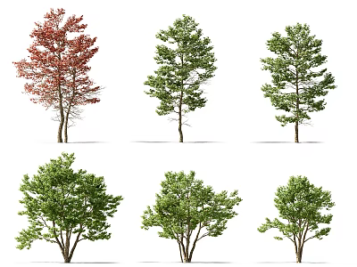 Various Green and Red Leaf Trees in Different Shapes Isolated on White Background 3d model