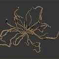 Golden Branched Organ Hair Like Radiating Dry Root Structure On White Reflective Background