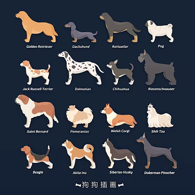 Stylish Dog Breed Silhouette Wall Decor Art Featuring Various Breed Names 3d model
