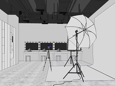 Professional Photography Studio Setup With Umbrella Light Tripod And Backdrop Screens 3d model
