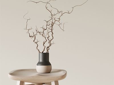 Silent Vase Plant Dried Branches model