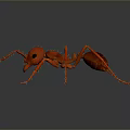 Detailed Red Ant 3D Model With Shiny Exoskeleton And Reflective Surface Rendering 3d model