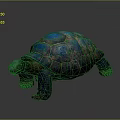 Turtle Cartoon Turtle Snapping Turtle Chickbill Turtle Reptile Cold Blooded Animal Reptile Class 3d model