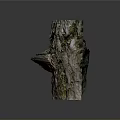 Natural Tree Stump With Realistic Bark Texture And Small Mushroom Growth 3d model