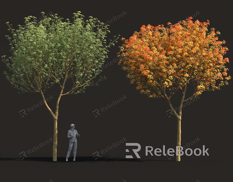 Red Maple Acer claw Landscape Garden Street Trees Tree Pond Flower bed sketch model