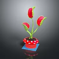 Potted Plant with Three Red Flowers Green Stems in Red White Dotted Pot on Black
