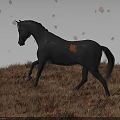 Black Horse Walking on Grassland With Red and Orange Fallen and Falling Leaves