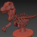Modern Skeleton Dinosaur Skeleton Tyrannosaurus Rex Skeleton 3d model