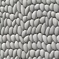 Natural Stone And Wood Texture Patterns With Various Arrangement Designs For Decor