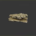 Natural Marine Sponge Animal With Green And White Tags On Porous Surface