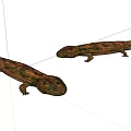 Two Brown Spotted Reptiles With Long Bodies On White Background 3d model