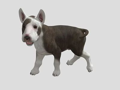 Brown And White Reptile Standing In Gray Background With Natural Posture 3d model