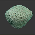 Porous Spherical Coral Structure In Beige To Brown Color For Aquatic Animal Habitat