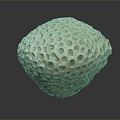 Modern Coral Red Coral White Coral Blue Coral 3d model