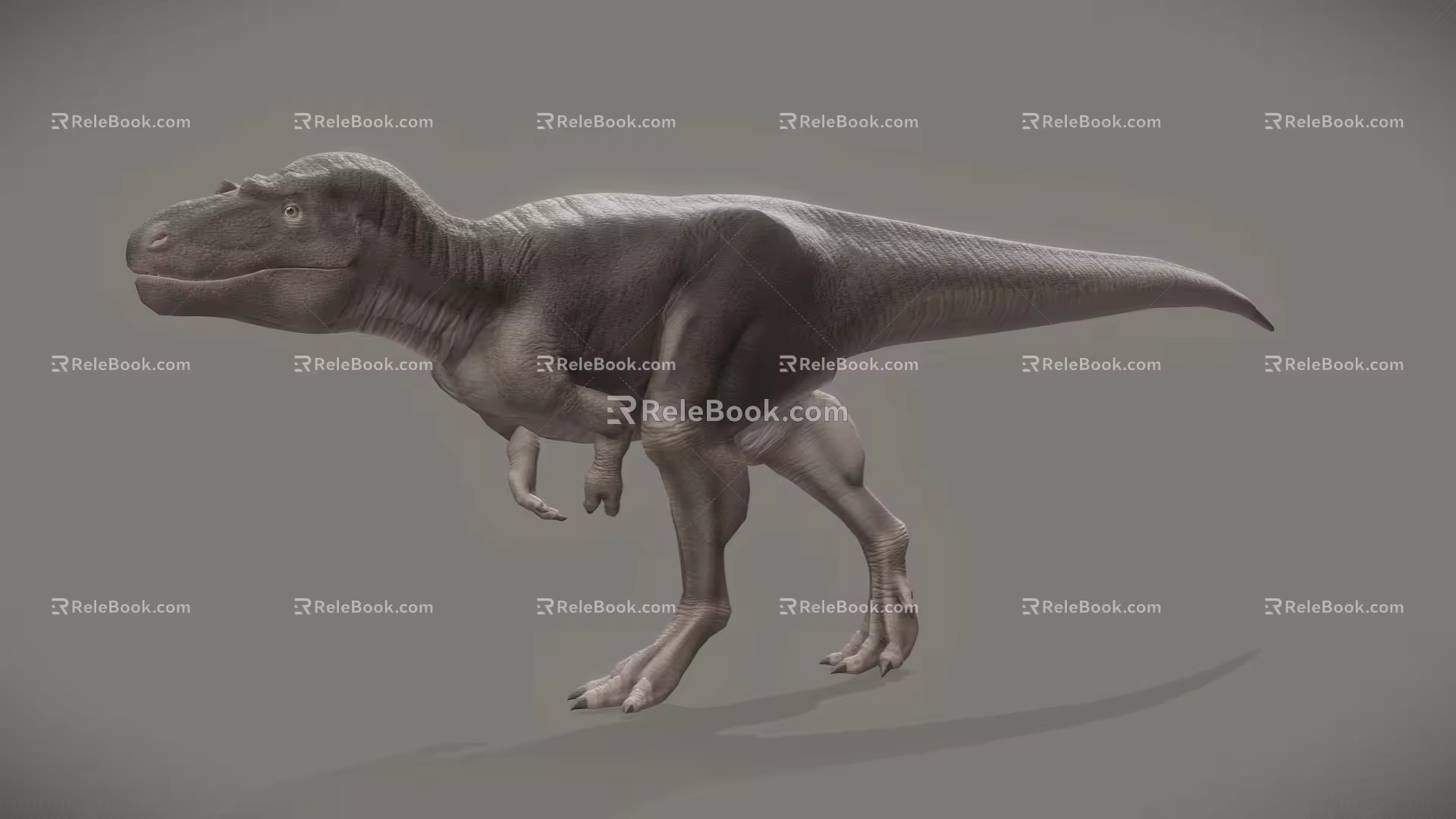 Dinosaur model 3d model