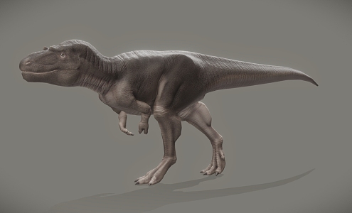 Dinosaur model 3d model