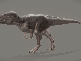 Dinosaur model 3d model