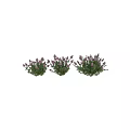 Decorative Ornament Set with Pink Lilac Flowers and Green Leaves for Home Decor