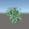 Lush Green Shrub with Dense Vibrant Foliage and Healthy Natural Leaves