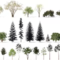 Various Arbor Tree Species Including Pine Willow Evergreen and Deciduous Types 3d model