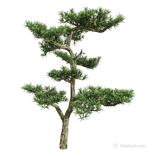 Elegant Arbor With Lush Green Foliage And Distinctive Branching Structure 3d model