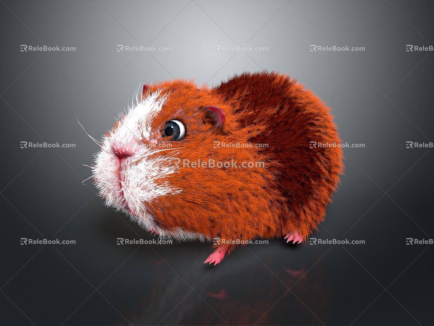 Squirrel Cartoon Squirrel Animation Squirrel Animation Squirrel Cartoon Characters Cartoon Animals Cartoon Small Animals 3d model